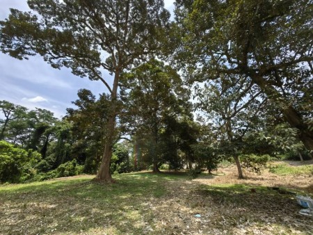 Agriculture Land For Sale at Kuala Lipis