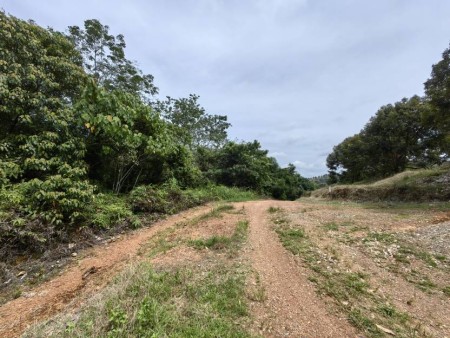 Agriculture Land For Sale at Kuala Lipis