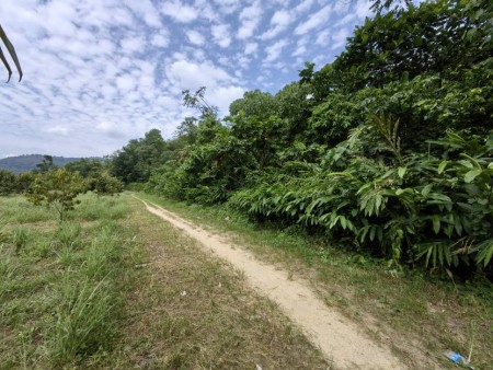 Agriculture Land For Sale at Broga