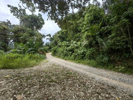 Agriculture Land For Sale at Benta