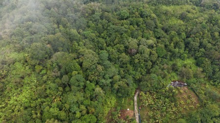 Agriculture Land For Sale at Kuala Lipis