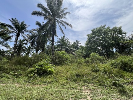 Agriculture Land For Sale at Batu Arang