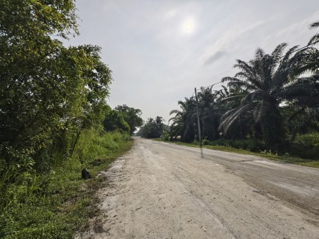 Industrial Land For Sale at Dengkil