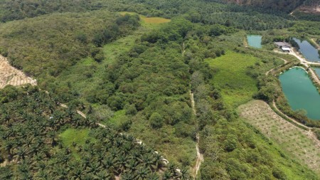 Agriculture Land For Sale at Kuala Klawang