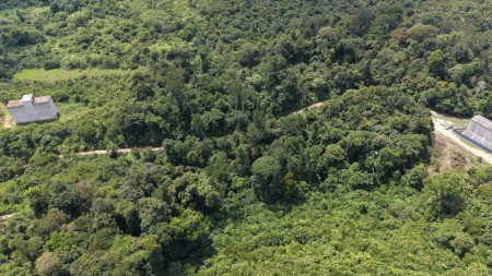 Agriculture Land For Sale at Kuala Lipis