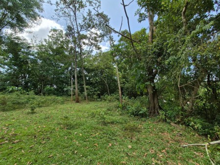 Bungalow Lot For Sale at Kampung Sungai Merab Luar