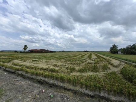 Agriculture Land For Sale at Tanjong Karang