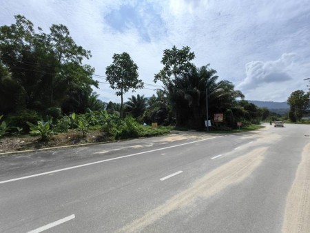 Agriculture Land For Sale at Broga