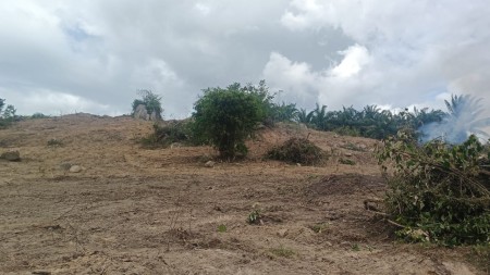 Agriculture Land For Sale at Tebong