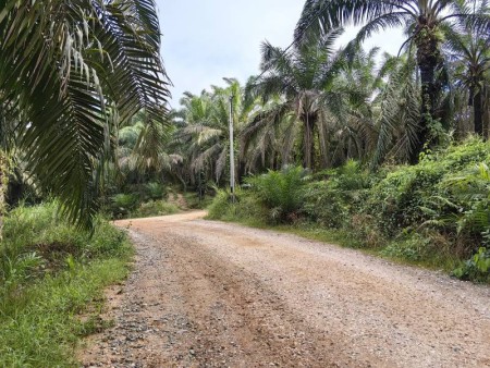 Agriculture Land For Sale at Kuala Lipis