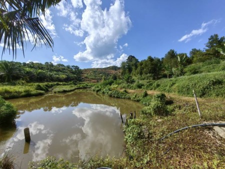 Agriculture Land For Sale at Kuala Lipis
