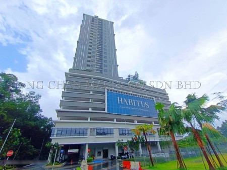 SOVO For Auction at Habitus