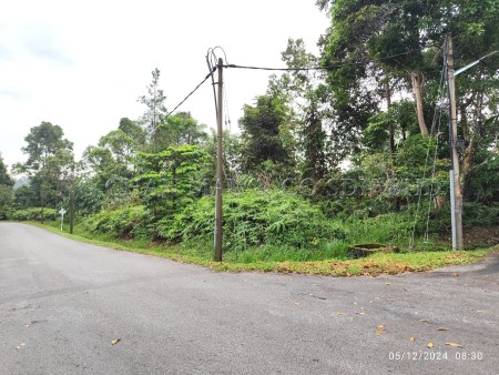 Residential Land For Auction at Bukit Tinggi