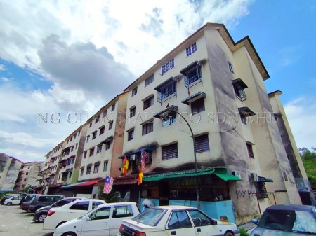 Apartment For Auction at Taman Pinggiran Delima