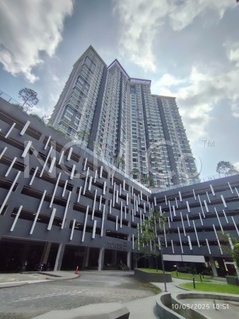 SOHO For Auction at Kenwingston Square Garden