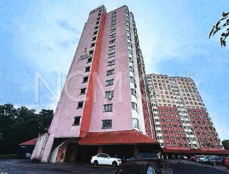 Apartment For Auction at Desaminium Flora