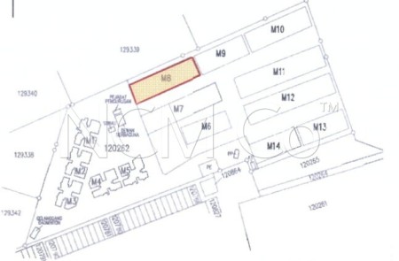 Terrace House for Auction