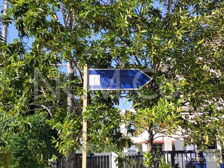 Terrace House for Auction