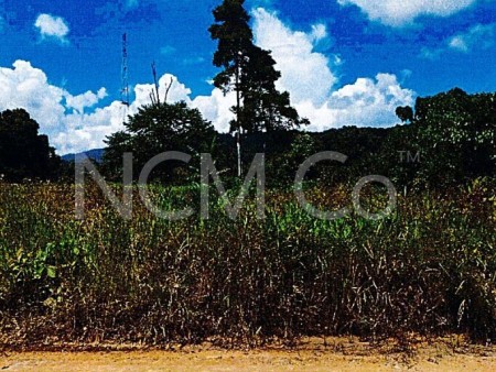 Agriculture Land For Auction at Sandakan