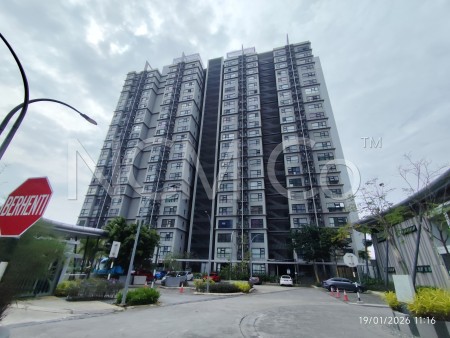 SOHO For Auction at HYVE Cyber Bistari