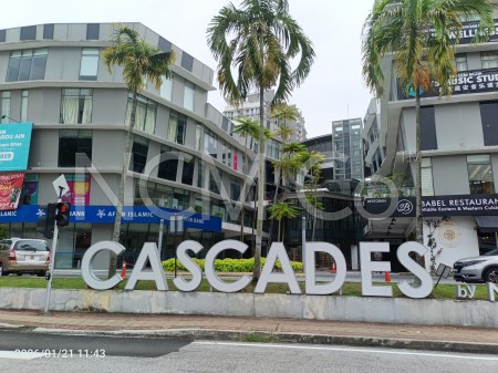 Shop For Auction at Cascades