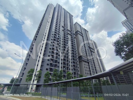 SOHO For Auction at One Equine