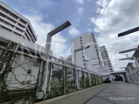 SOHO For Auction at The Stallionz