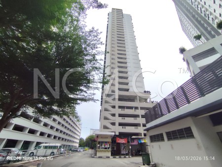 Flat For Auction at Ara Green