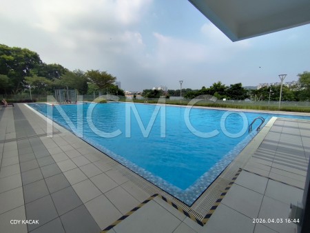 Terrace House for Auction