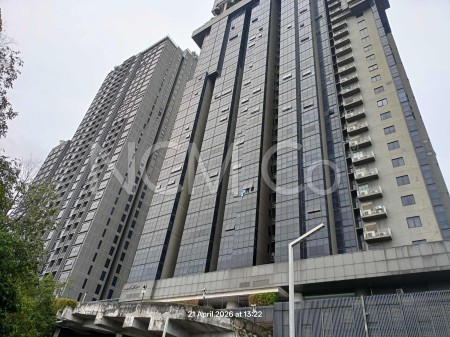 Shop For Auction at Icon City