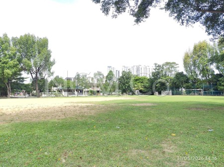 Terrace House for Auction
