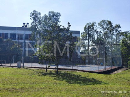 Terrace House for Auction