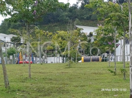 Terrace House for Auction