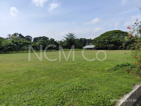 Terrace House for Auction