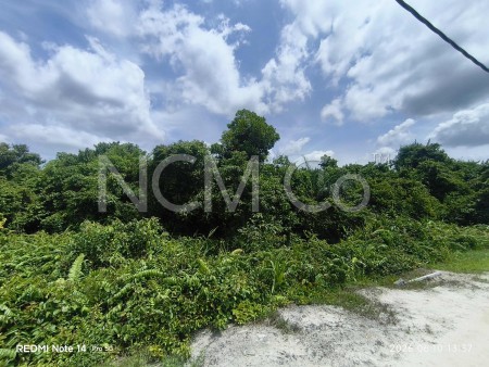 Agriculture Land For Auction at Kampong Bukit Changgang