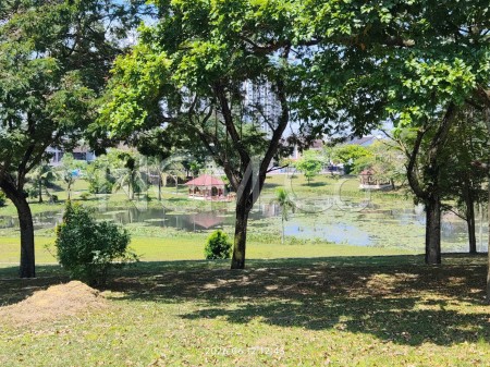 Terrace House for Auction