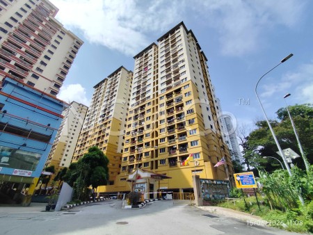 Apartment For Auction at Pelangi Damansara