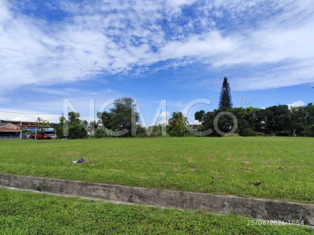 Terrace House for Auction