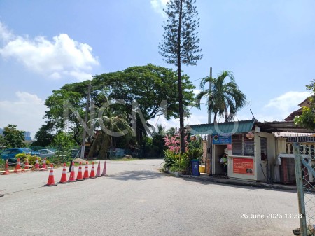 Terrace House for Auction