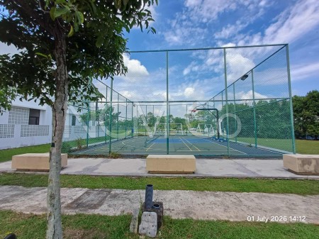 Terrace House for Auction