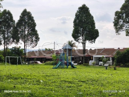 Terrace House for Auction