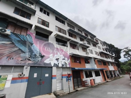 Flat For Auction at Taman Balik Pulau Lily Flat
