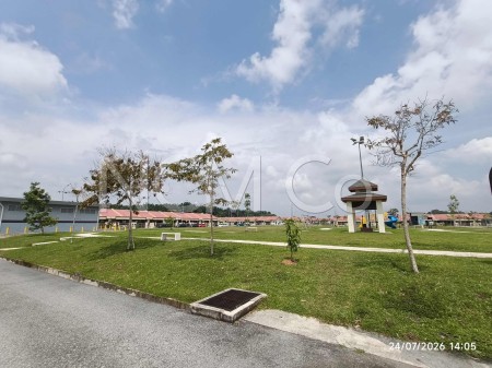 Terrace House for Auction