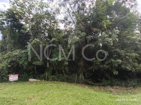 Commercial Land for Auction