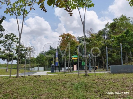 Terrace House for Auction