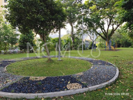 Terrace House for Auction