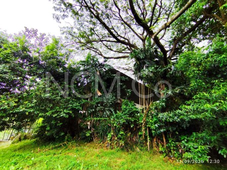 Bungalow House For Auction at Country Heights Kajang