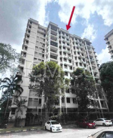 Penthouse For Auction at Cyberia SmartHomes