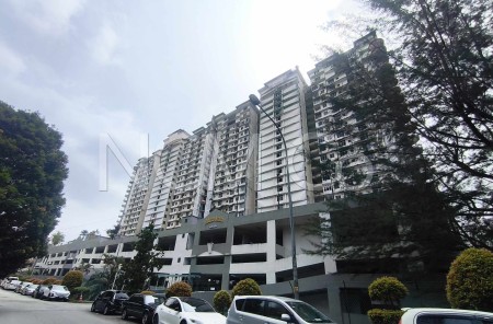 Condo For Auction at Venice Hill