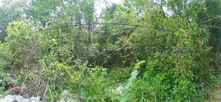Residential Land For Auction at Rompin